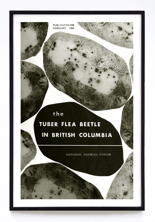 "the Tuber Flea Beetle in British Columbia" print (1962)