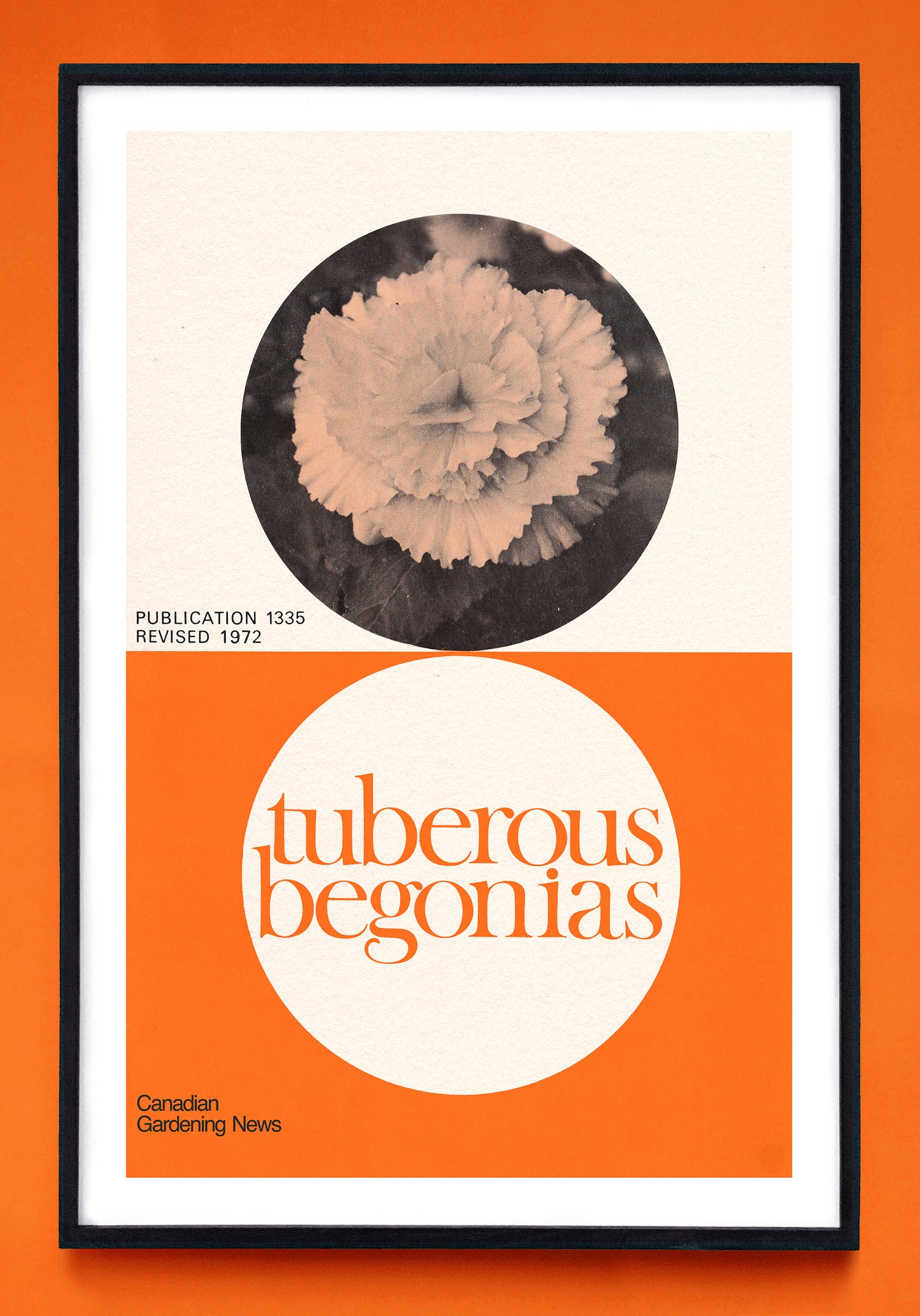 "Tuberous Begonias" and "Bégonias Tubéreux" prints (1972)