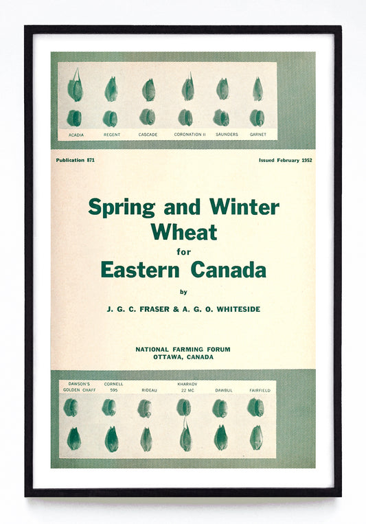 "Spring and Winter Wheat for Eastern Canada" print (1952)